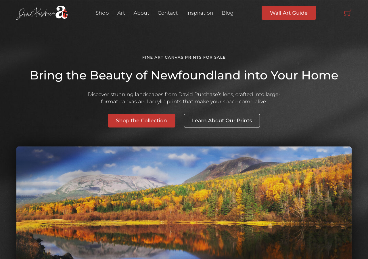 Screenshot of the David Purchase Art website